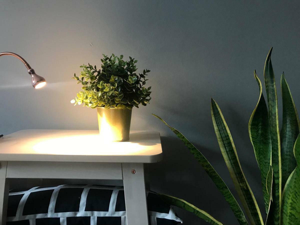 Apartament Centrum Жельона Гора Екстериор снимка